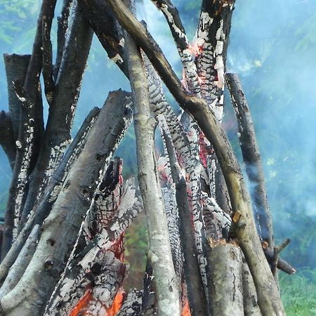 Гостьовий будинок Aliai Утена Екстер'єр фото